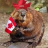 カナダの大自然を堪能 紅葉見所スポット Englista イングリスタ